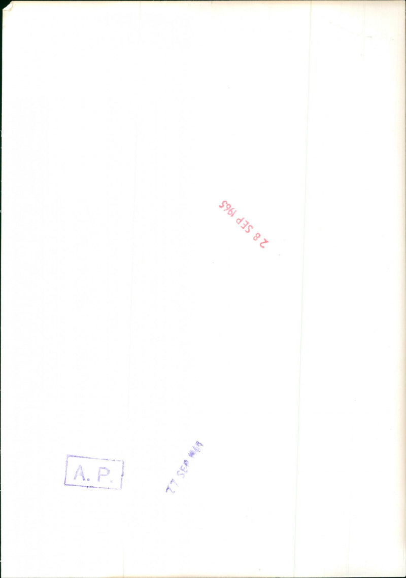 Princess Alexandra of Kent - Vintage Photograph