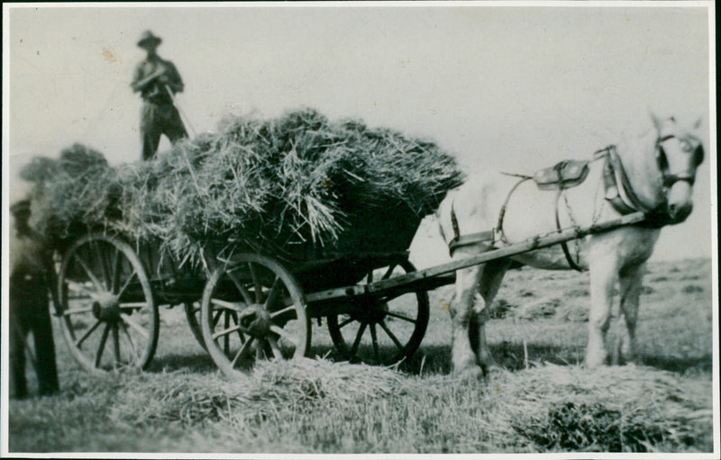 Benny Buckingham - Vintage Photograph