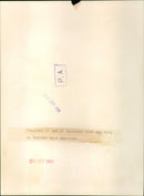 Tony Benn - Vintage Photograph