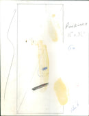 Carroll Baker - Vintage Photograph