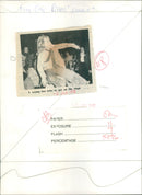 Bay City Rollers - Vintage Photograph