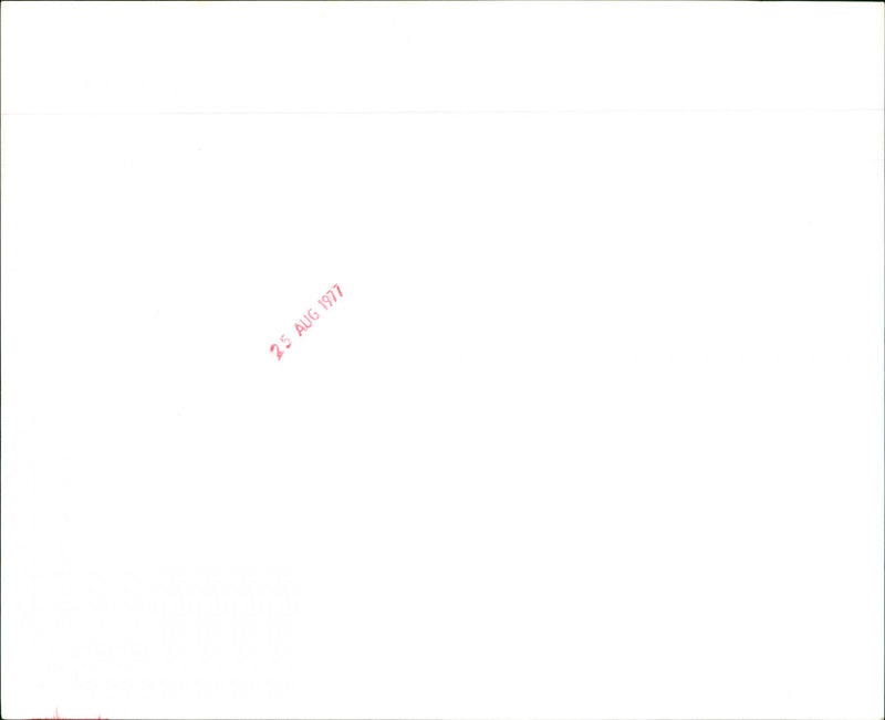 Roy Buchanan - Vintage Photograph