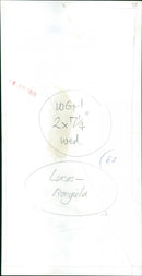 Richard Lucas - Vintage Photograph