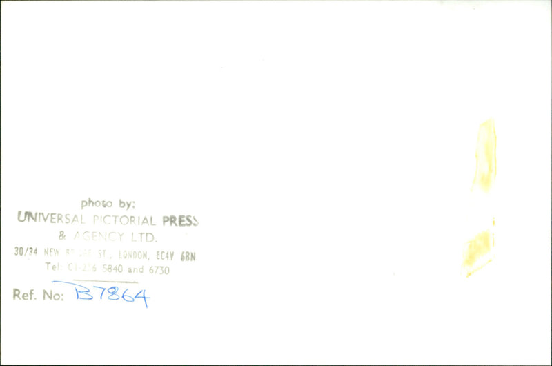 Woman smiling - Vintage Photograph