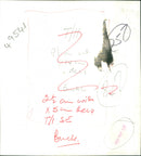 David Buckle - Vintage Photograph