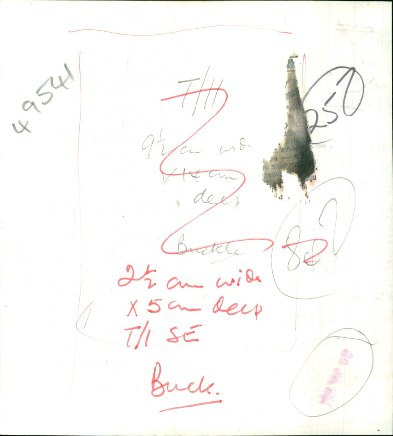 David Buckle - Vintage Photograph