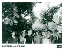 Australian Crawl - Vintage Photograph