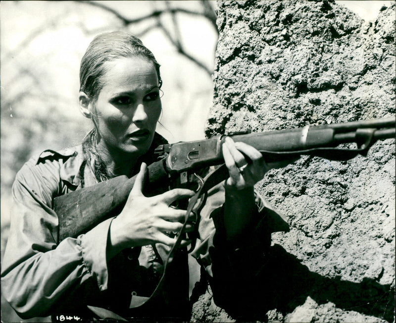 Ursula Andress - Vintage Photograph