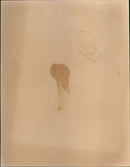 Princess Anne - Vintage Photograph