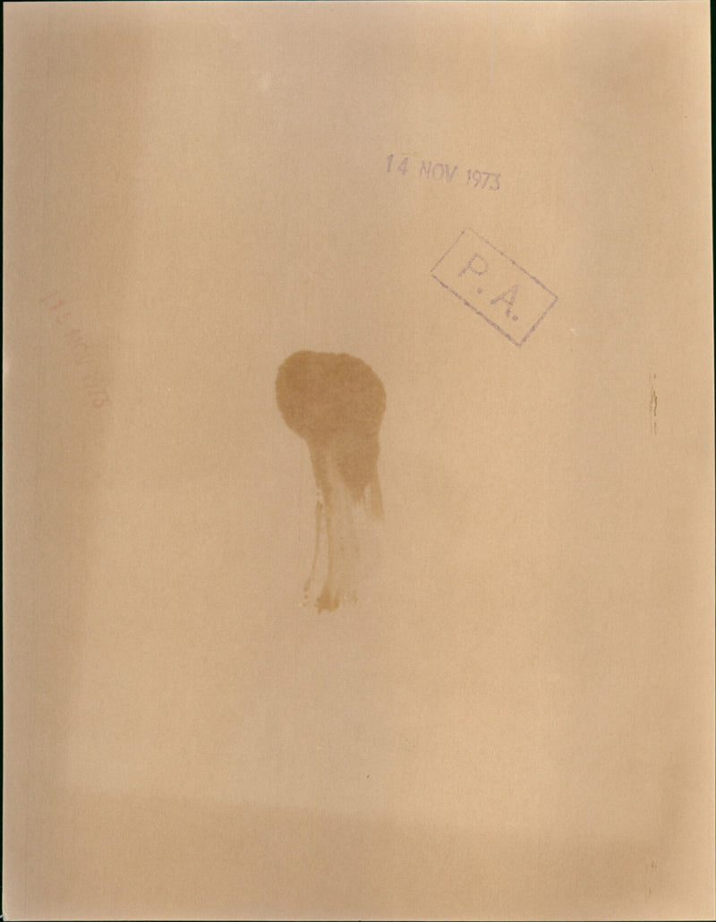 Princess Anne - Vintage Photograph