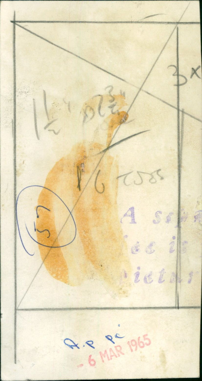 Julie Andrews - Vintage Photograph