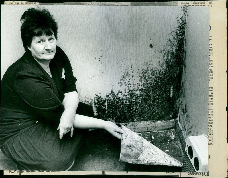 Dawn Baggett - Vintage Photograph