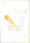 Julie Andrews - Vintage Photograph