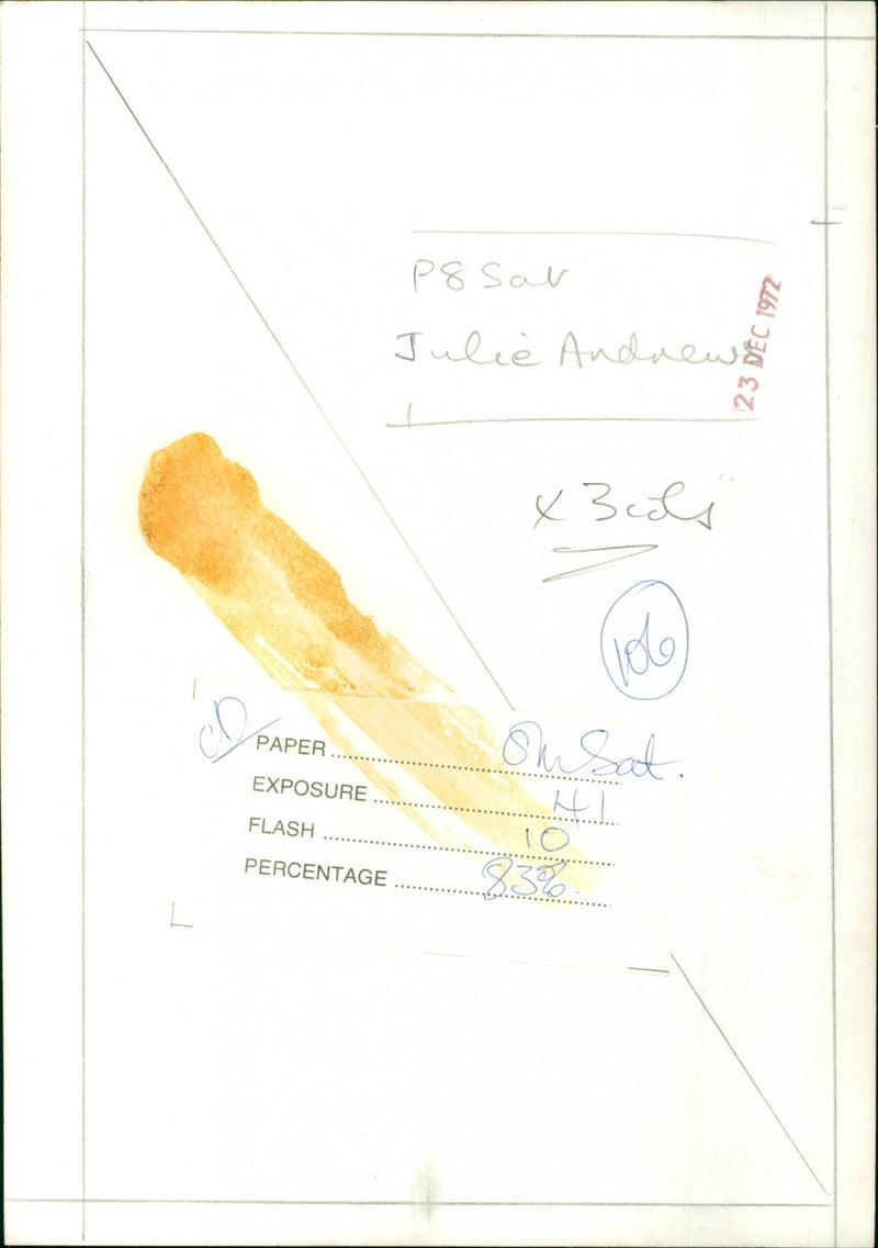 Julie Andrews - Vintage Photograph