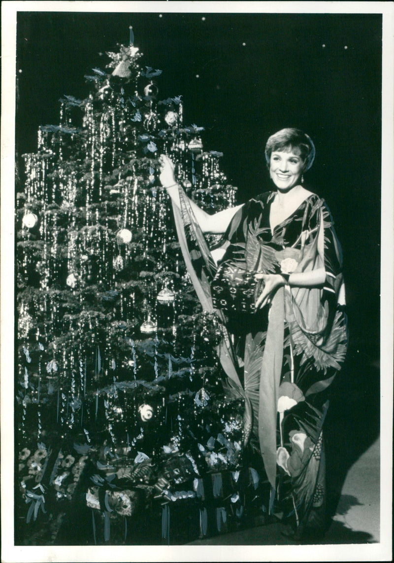 Julie Andrews - Vintage Photograph