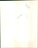 Joan Baez - Vintage Photograph