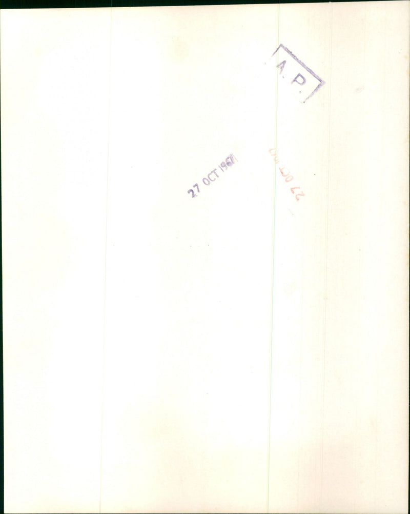 Joan Baez - Vintage Photograph