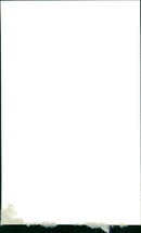 Terence Beckett - Vintage Photograph