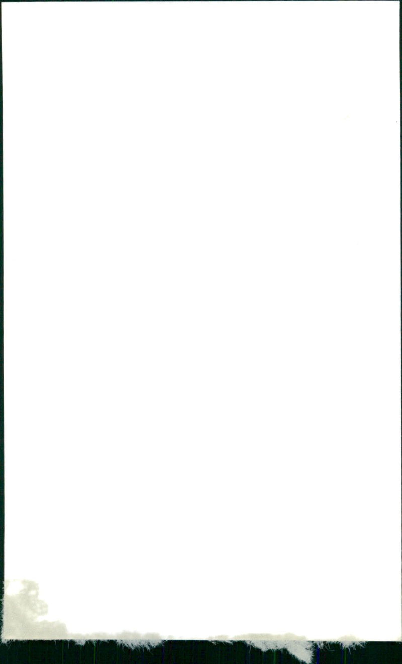 Terence Beckett - Vintage Photograph