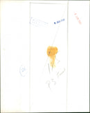 Princess Anne - Vintage Photograph