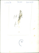 David Buckle - Vintage Photograph