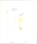 Kenny Ball - Vintage Photograph