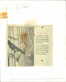 Albert Andrews - Vintage Photograph