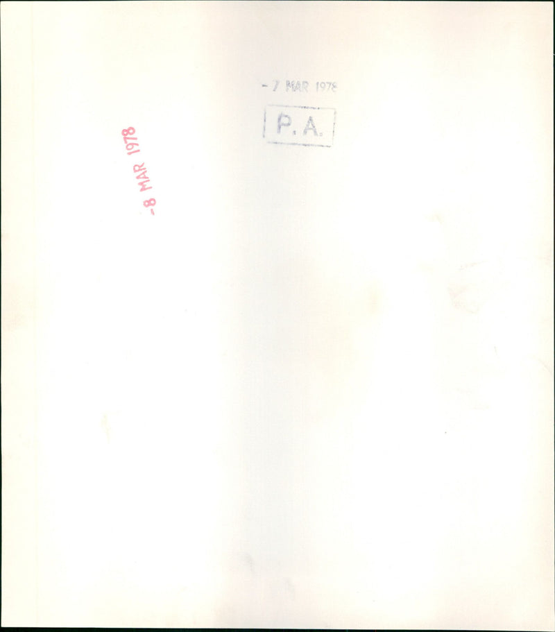 Vivian Bendall - Vintage Photograph