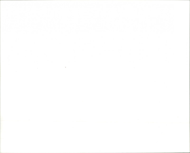 Bucks Fizz - Vintage Photograph