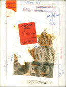 Princess Anne - Vintage Photograph