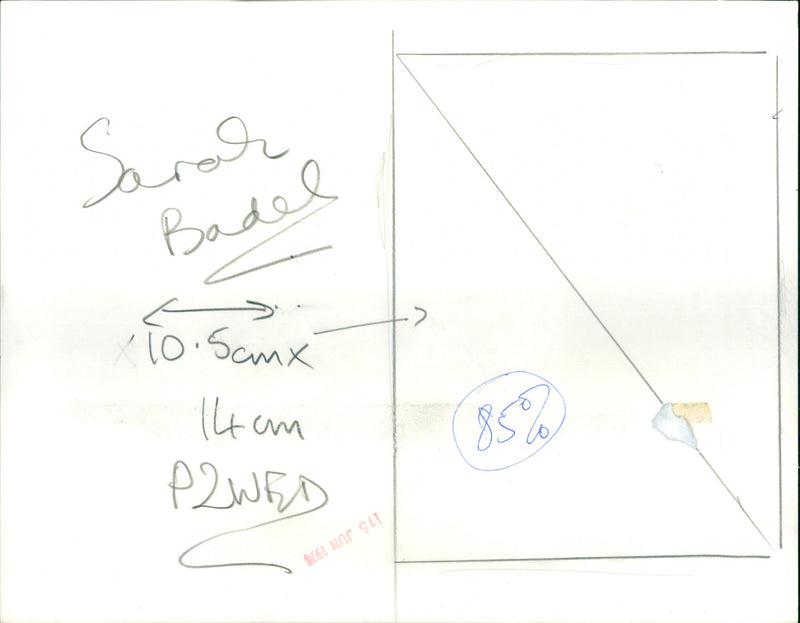 Sarah Badel - Vintage Photograph