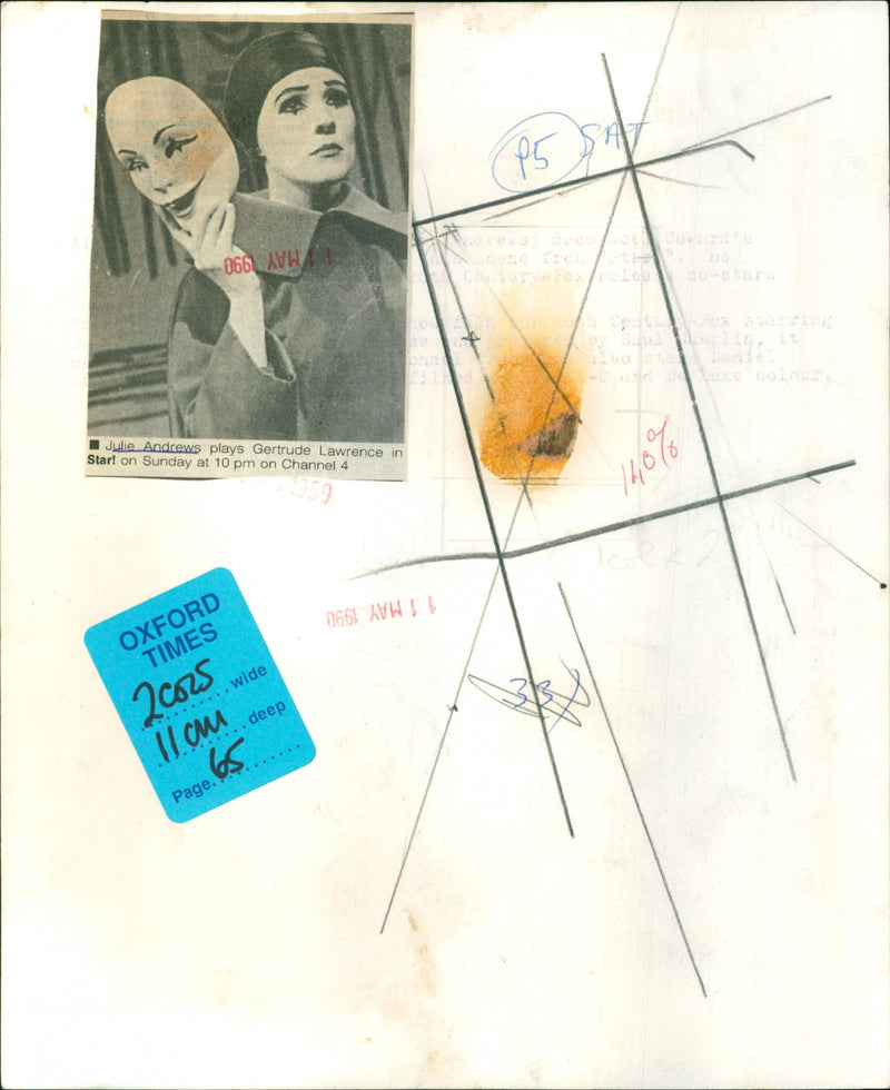 Julie Andrews - Vintage Photograph