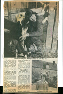 Pat and Liz Bellingham - Vintage Photograph