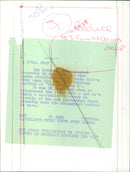 Yul Brynner - Vintage Photograph