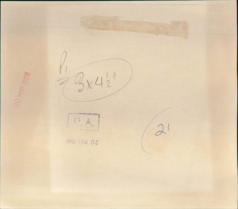 Lucille Ball - Vintage Photograph