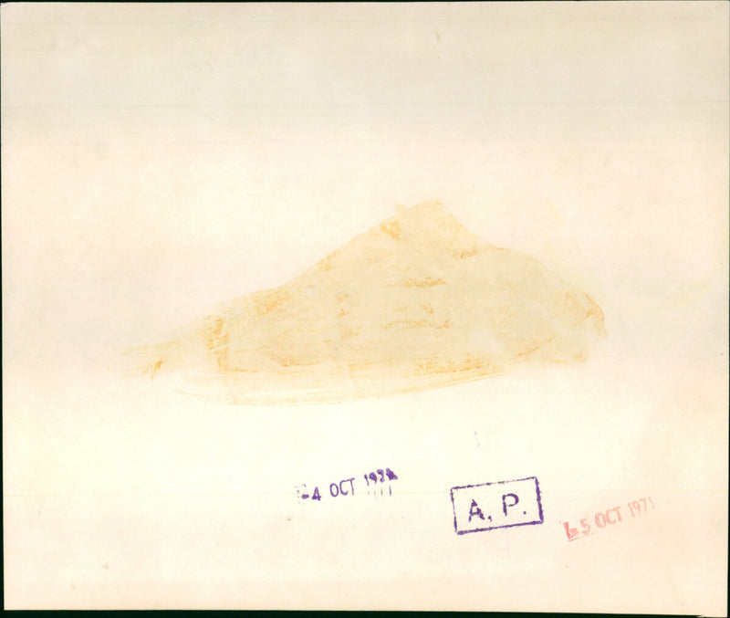 Yul Brynner - Vintage Photograph