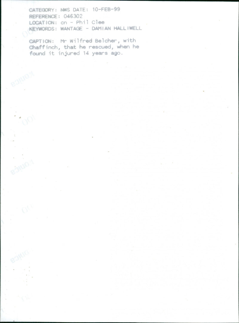 Wilfred Belcher - Vintage Photograph