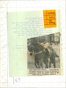 Princess Anne - Vintage Photograph