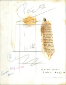 Princess Anne - Vintage Photograph