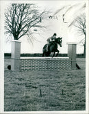 Princess Anne - Vintage Photograph