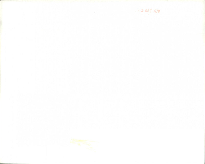 Yul Brynner - Vintage Photograph