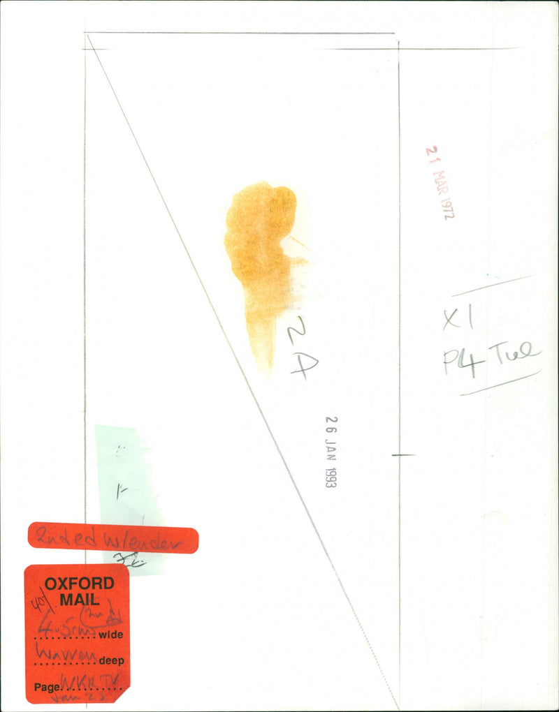 Warren Beatty - Vintage Photograph