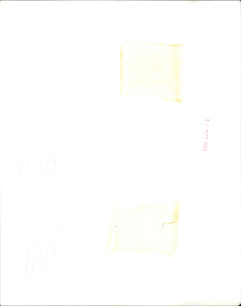 Julie Andrews - Vintage Photograph