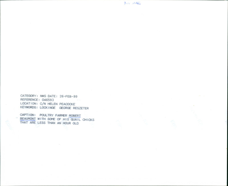 Robert Beaumont's Quail Chick - Vintage Photograph