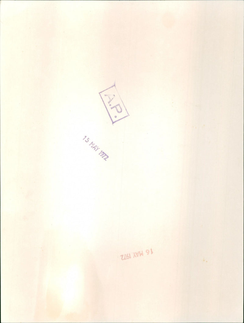 Julie Andrews and Peter Falks - Vintage Photograph