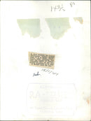 Group Capt. Douglas Bader - Vintage Photograph