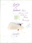 Terence Beckett - Vintage Photograph