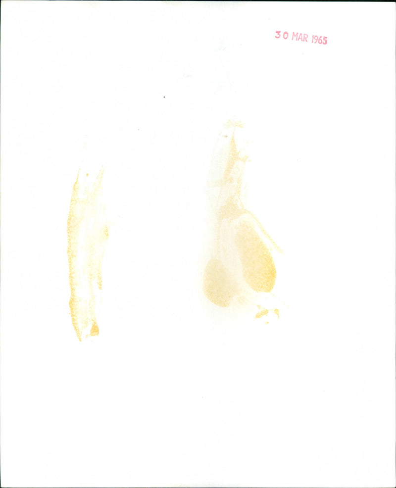 Soldier - Vintage Photograph