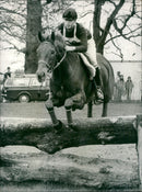 Princess Anne - Vintage Photograph