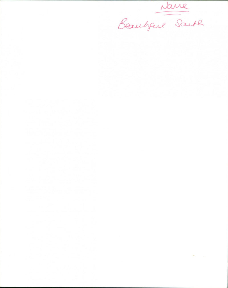 The Beautiful South - Vintage Photograph